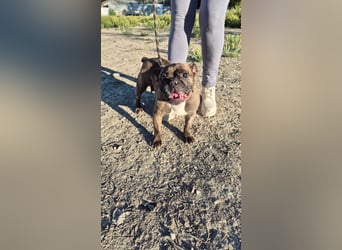 Chata, wartet auf ihre Familie