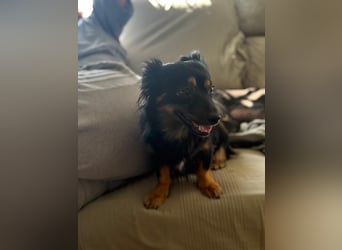 Isabel, sucht ihre Familie