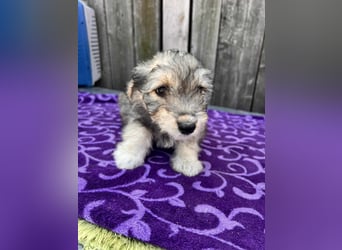 Chloe