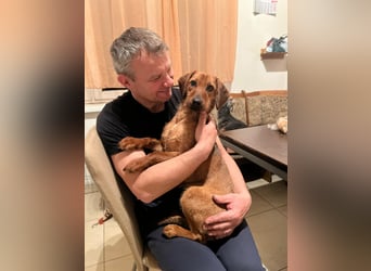 Rita ♥️ Pflegefamilie 41812 Erkelenz