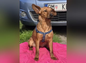 Rita ♥️ Pflegefamilie 41812 Erkelenz