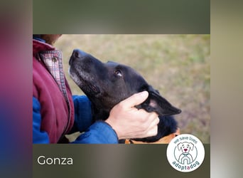 Gonza – Bewegungs-Fan sucht Nähe
