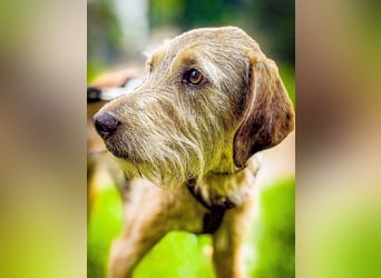 Cloe - Aller guten Dinge sind drei