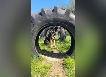 Max - ein echter Hingucker