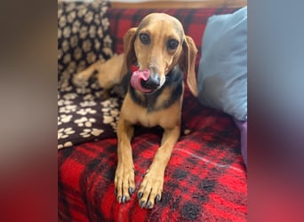 Couch gesucht für CONNIE