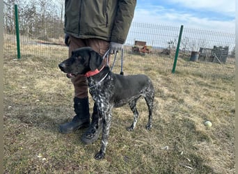 Teofil, geb. 01.01.2023, 63 cm, möchte viel erleben