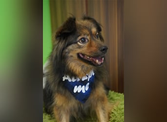 Buddy-SR, möchte dein Freund werden