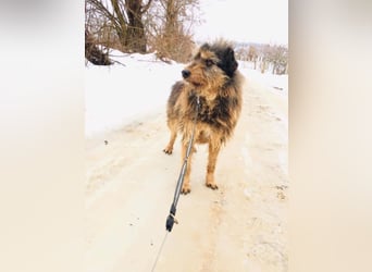 Mila - sportliche Leute aufgepasst!