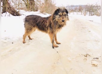 Mila - sportliche Leute aufgepasst!