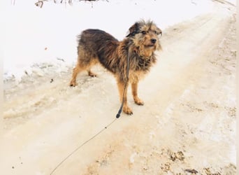 Mila - sportliche Leute aufgepasst!