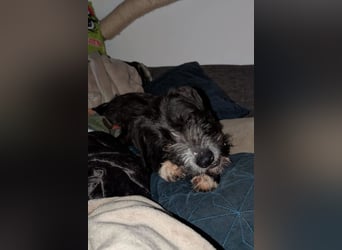 Alani ❤️ wartet in 90530 Wendelstein auf dich