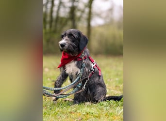 Alani ❤️ wartet in 90530 Wendelstein auf dich