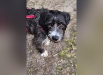 Alani ❤️ wartet in 90530 Wendelstein auf dich