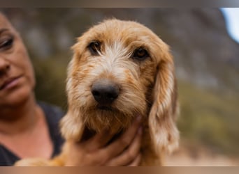 Schmusebacke Masha ❤️ so fröhlich, verspielt + lieb!