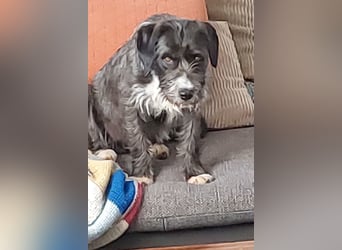 Alani ❤️ wartet in 90530 Wendelstein auf dich