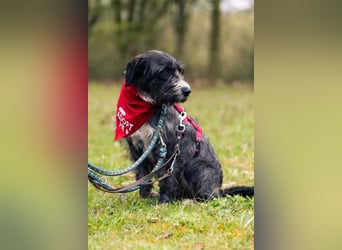 Alani ❤️ wartet in 90530 Wendelstein auf dich