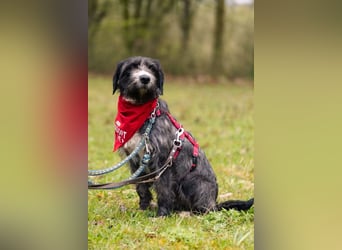 Alani ❤️ wartet in 90530 Wendelstein auf dich