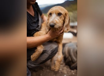 Schmusebacke Masha ❤️ so fröhlich, verspielt + lieb!