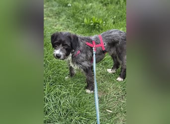 Alani ❤️ wartet in 90530 Wendelstein auf dich