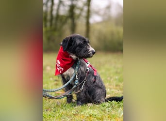 Alani ❤️ wartet in 90530 Wendelstein auf dich