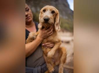 Schmusebacke Masha ❤️ so fröhlich, verspielt + lieb!