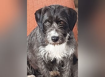 Alani ❤️ wartet in 90530 Wendelstein auf dich