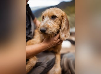 Schmusebacke Masha ❤️ so fröhlich, verspielt + lieb!
