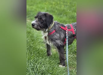 Alani ❤️ wartet in 90530 Wendelstein auf dich