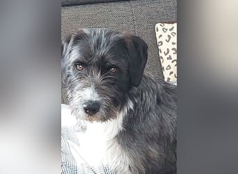 Alani ❤️ wartet in 90530 Wendelstein auf dich