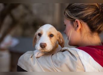 Zuckerschnute ARIA❤️liebt Abenteuer – und Kuscheleinheiten noch mehr!