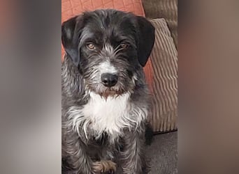 Alani ❤️ wartet in 90530 Wendelstein auf dich