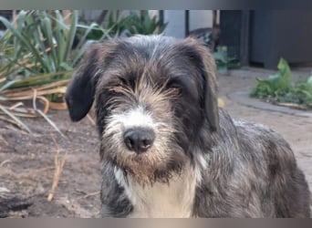 Alani ❤️ wartet in 90530 Wendelstein auf dich