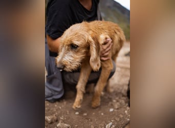 Schmusebacke Masha ❤️ so fröhlich, verspielt + lieb!