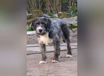 Alani ❤️ wartet in 90530 Wendelstein auf dich