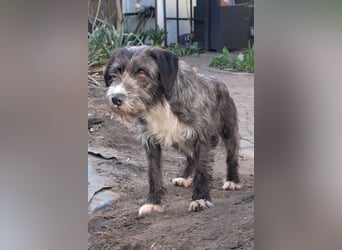 Alani ❤️ wartet in 90530 Wendelstein auf dich