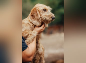 Schmusebacke Masha ❤️ so fröhlich, verspielt + lieb!