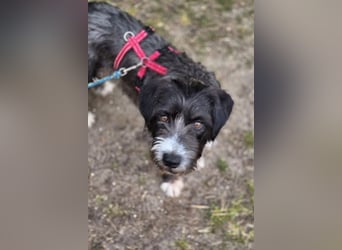 Alani ❤️ wartet in 90530 Wendelstein auf dich