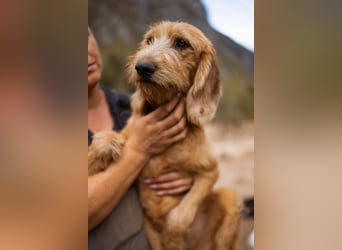 Schmusebacke Masha ❤️ so fröhlich, verspielt + lieb!