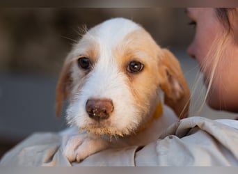 Zuckerschnute ARIA❤️liebt Abenteuer – und Kuscheleinheiten noch mehr!