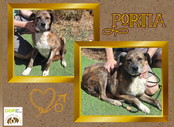 Typisch Braves Mädchen ♦️PORTIA♦️ in der Cantinho da Milu ⏳ 7/2025