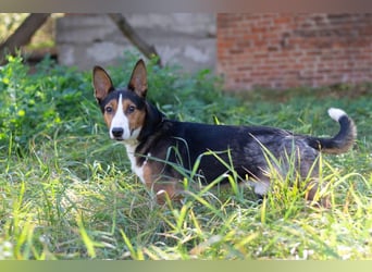 Nick - Bringt Farbe in jedes Leben (Ukraine)