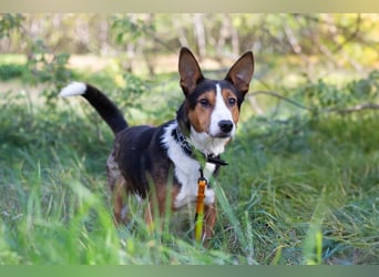 Nick - Bringt Farbe in jedes Leben (Ukraine)