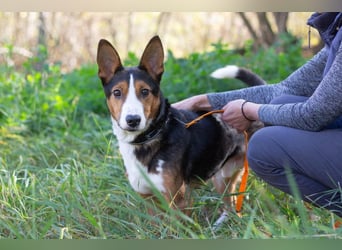 Nick - Bringt Farbe in jedes Leben (Ukraine)