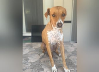 Rafa, ein leiser Freund mit großem Herzen