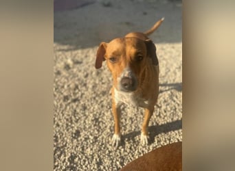 Rafa, ein leiser Freund mit großem Herzen