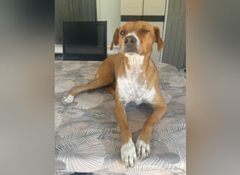 Rafa, ein leiser Freund mit großem Herzen