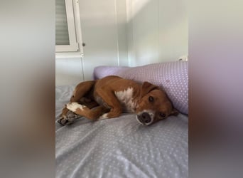 Rafa, ein leiser Freund mit großem Herzen