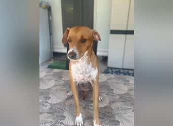 Rafa, ein leiser Freund mit großem Herzen