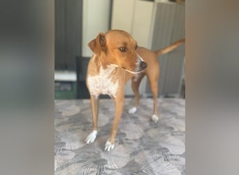 Rafa, ein leiser Freund mit großem Herzen