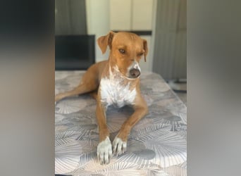 Rafa, ein leiser Freund mit großem Herzen